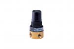 Back Pressure Valves