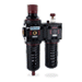 C2,C3